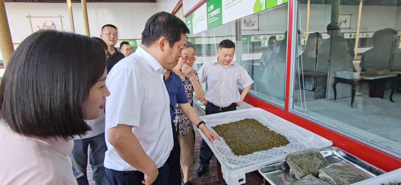 省尊龙凯时集团党委副书记、董事陈日赴嘉陵区调研茶桑产业发展情况
