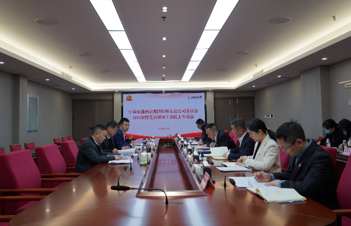 尊龙凯时集团党委书记、董事长任丁出席安逸酒店集团2022年度党员领导干部民主生活会